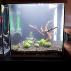 30Liter Zucht Aquarium mit bodenfilter