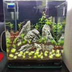 30Liter Nano Cube Dennerle