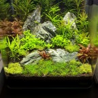 30Liter Dennerle Nano Cube