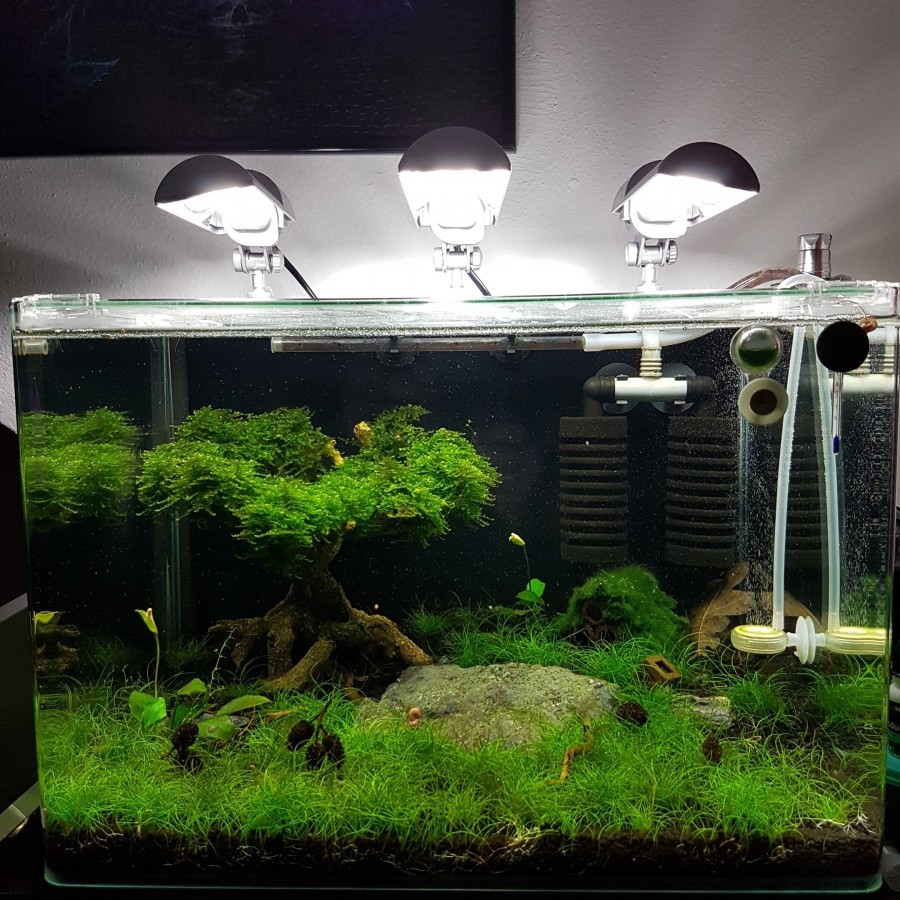 50l Dennerle Scaper Tank