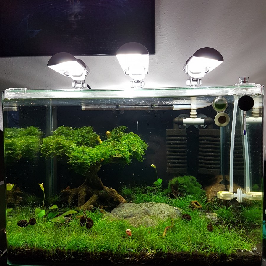 50l Dennerle Scaper Tank