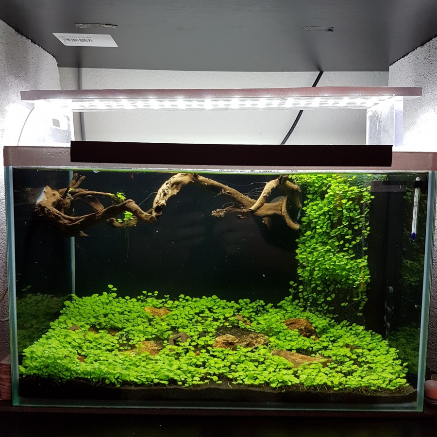 25Liter Aquarium