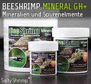 BEESHRIMP MINERAL GH+